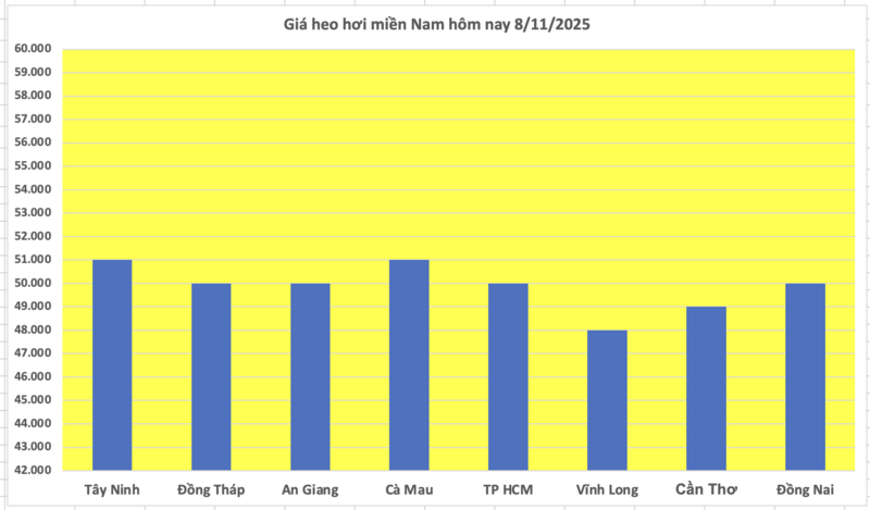 តម្លៃជ្រូកថ្ងៃនេះ ថ្ងៃទី 8 ខែវិច្ឆិកា ឆ្នាំ 2025៖ តំបន់ខាងជើង និងកណ្តាលបានថយចុះបន្តិច - ៣