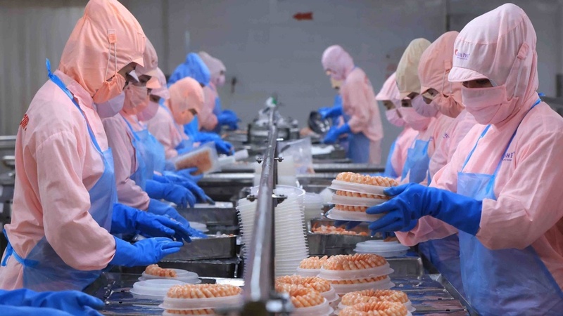 Att fullända lagen inom industri- och handelssektorn syftar till att skapa en gynnsam och jämlik affärsmiljö för alla organisationer och företag. Illustrativt foto