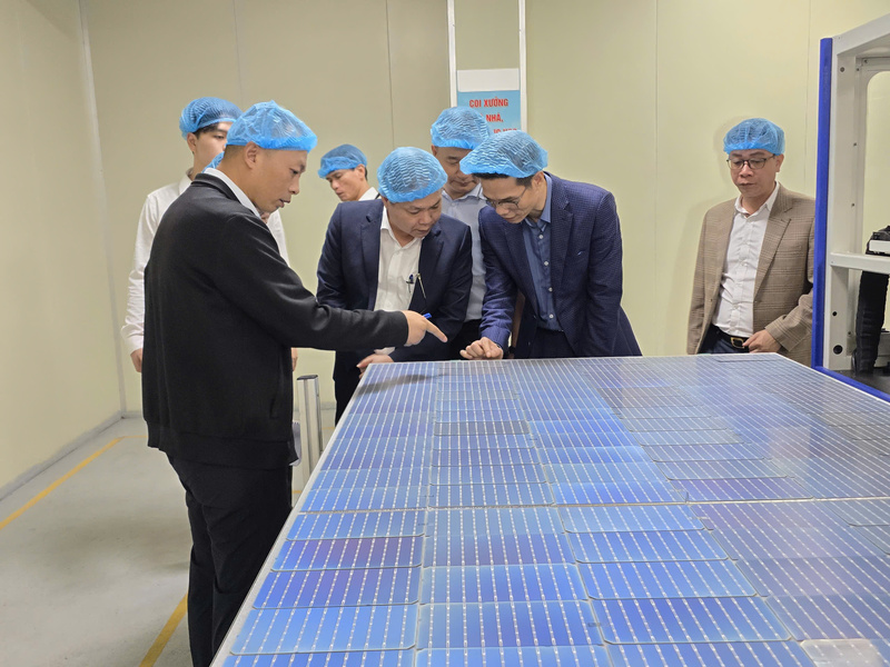 Dự thảo xây dựng đảm bảo các doanh nghiệp được “bình đẳng trong cơ hội và năng lực phát triển”. Ảnh minh họa: Thu Hường