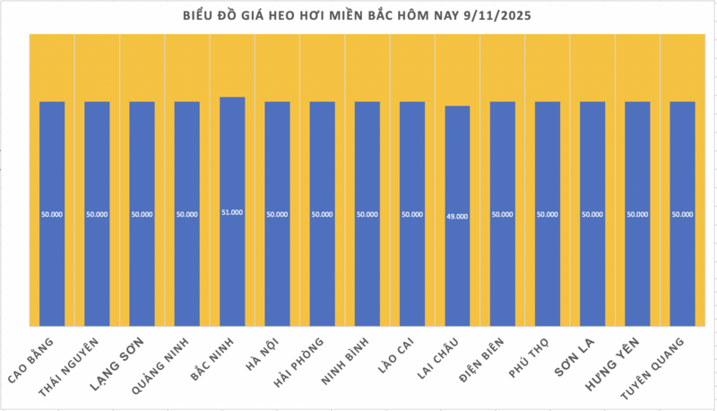 Giá heo hơi hôm nay 9/11/2025: Đi ngang trên cả 3 miền - 1