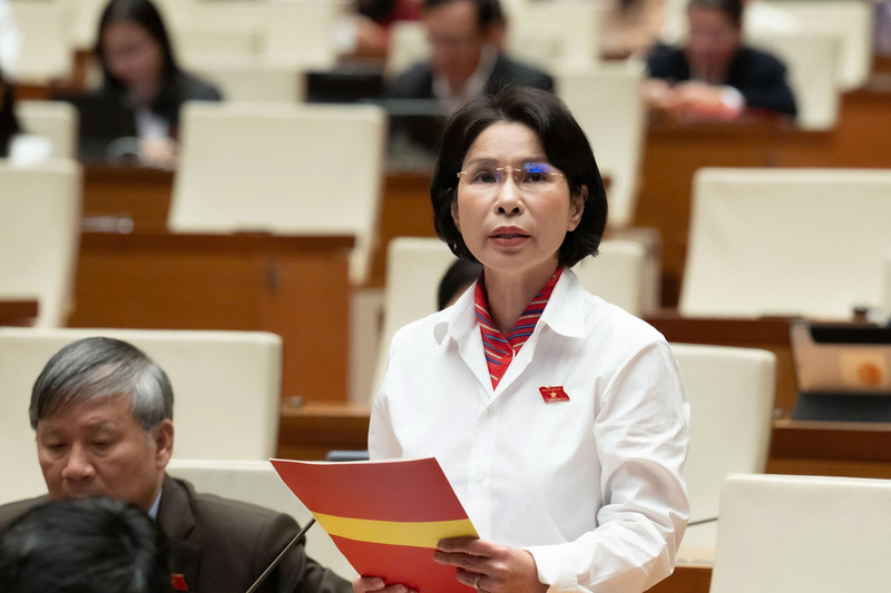 Đại biểu Trần Thị Nhị Hà - đoàn TP. Hà Nội