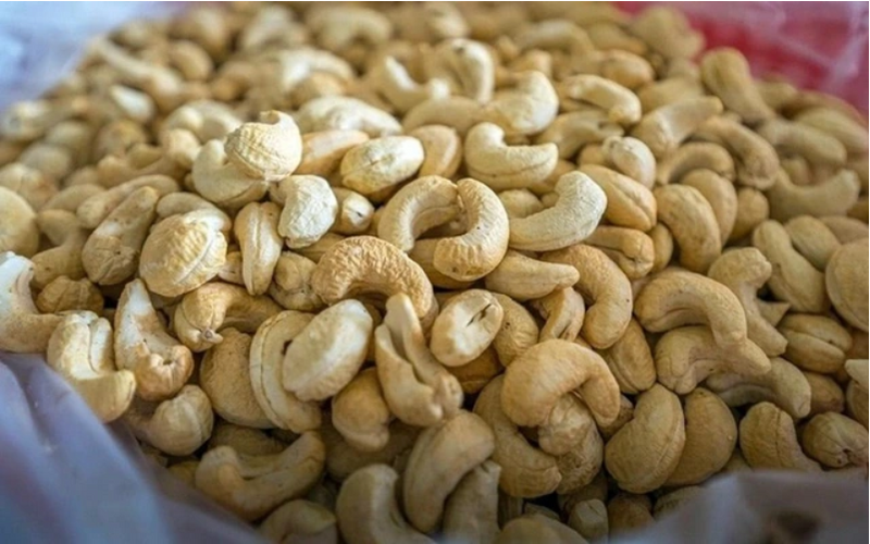 Giá điều thô nhập khẩu bình quân hiện đạt 1.523 USD/tấn, tăng hơn 21%, phản ánh chi phí đầu vào của ngành chế biến điều đang leo thang mạnh. Ảnh minh hoạ