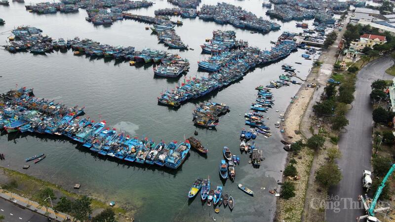 Một góc cảng cá Thọ Quang (phường Sơn Trà, TP. Đà Nẵng).