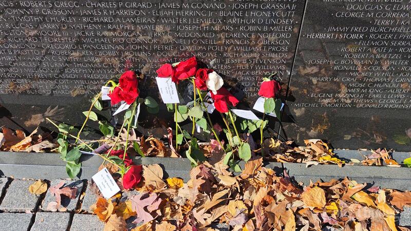 Hoa hồng và lá vàng cuối thu.