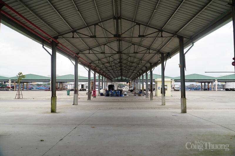 Nâng cấp, sửa chữa kè bờ âu thuyền, đường giao thông nội bộ.