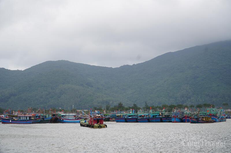 Sau khi được nâng cấp, mở rộng, cảng cá Thọ Quang sẽ đáp ứng tiêu chí cảng cá loại 1 (cảng cá động lực thuộc trung tâm nghề cá lớn Đà Nẵng) kết hợp khu neo đậu tránh trú bão cấp vùng đảm bảo neo đậu an toàn và đồng bộ dịch vụ hậu cần nghề cá.