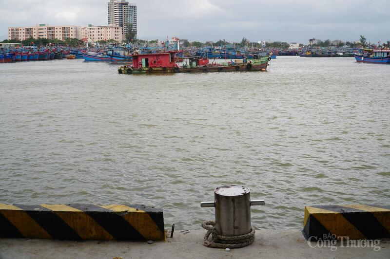 Bích neo tàu (bollard) tại cầu tàu số 1