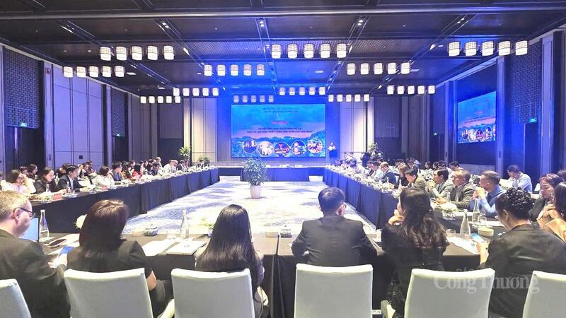 Các đại biểu tham dự hội nghị