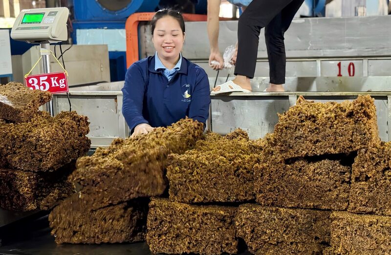 Cao su khô của Công ty Cổ phần cao su Đắk Lắk