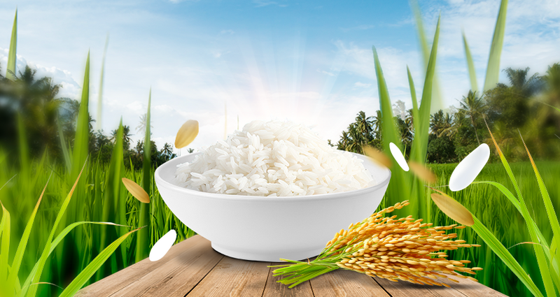 Gạo ST25 là "Gạo ngon nhất thế giới" với 3 lần đạt giải, nổi tiếng với hương thơm dẻo, vị ngọt thanh và hàm lượng dinh dưỡng cao. Ảnh minh họa