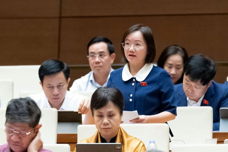 Đại biểu Thái Thị An Chung - đoàn Nghệ An. Ảnh: QH