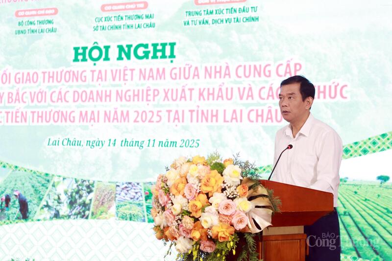 Phó Giám đốc Sở Công Thương tỉnh Điện Biên Lường Tuấn Anh tham luận tại hội nghị.
