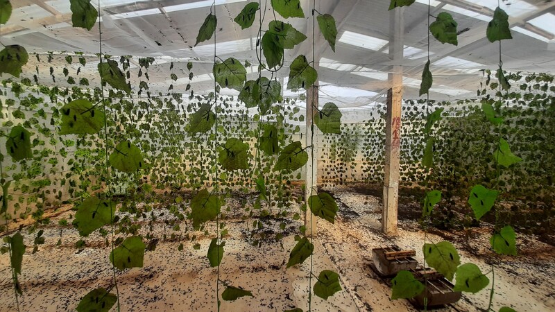 Kinh tế tuần hoàn mở đường cho nông nghiệp Việt xuất khẩu xanh - 2