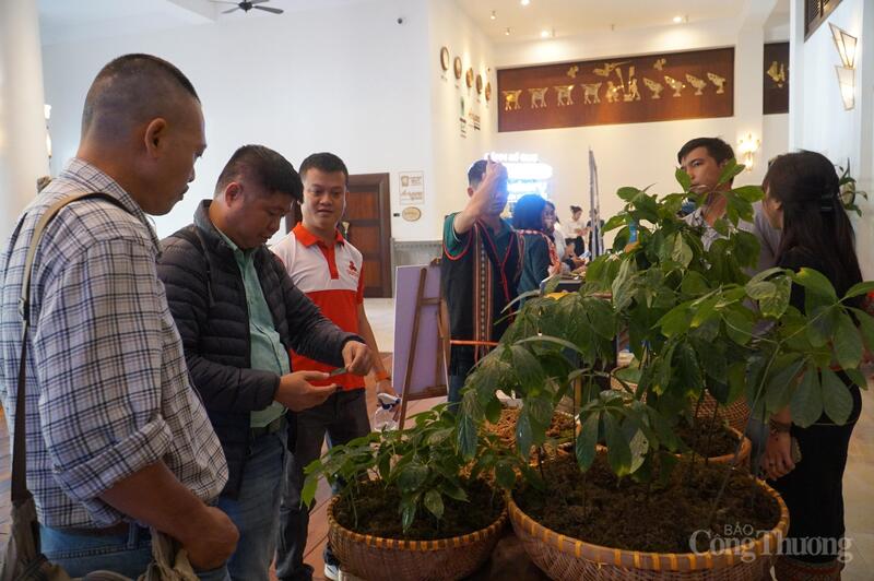 Quảng bá, giới thiệu sâm Ngọc Linh bên lề hội thảo.