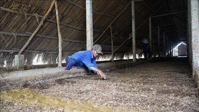 Kinh tế tuần hoàn mở đường cho nông nghiệp Việt xuất khẩu xanh - 3