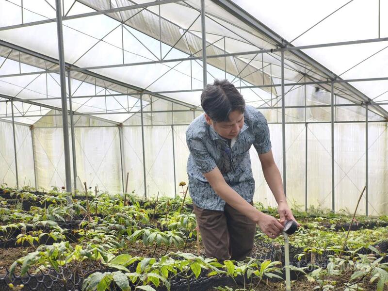 Tổng Giám đốc Công ty Cổ phần Sâm Pusilung Đinh Văn Đô kiểm tra nhiệt độ, độ ẩm tại vườn sâm
