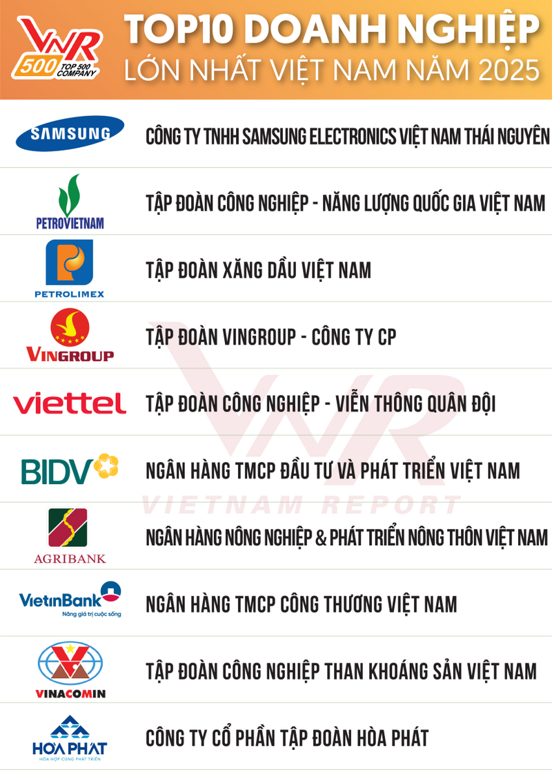 Hòa Phát là doanh nghiệp công nghiệp duy nhất lọt Top 10 Doanh nghiệp lớn nhất Việt Nam - 2