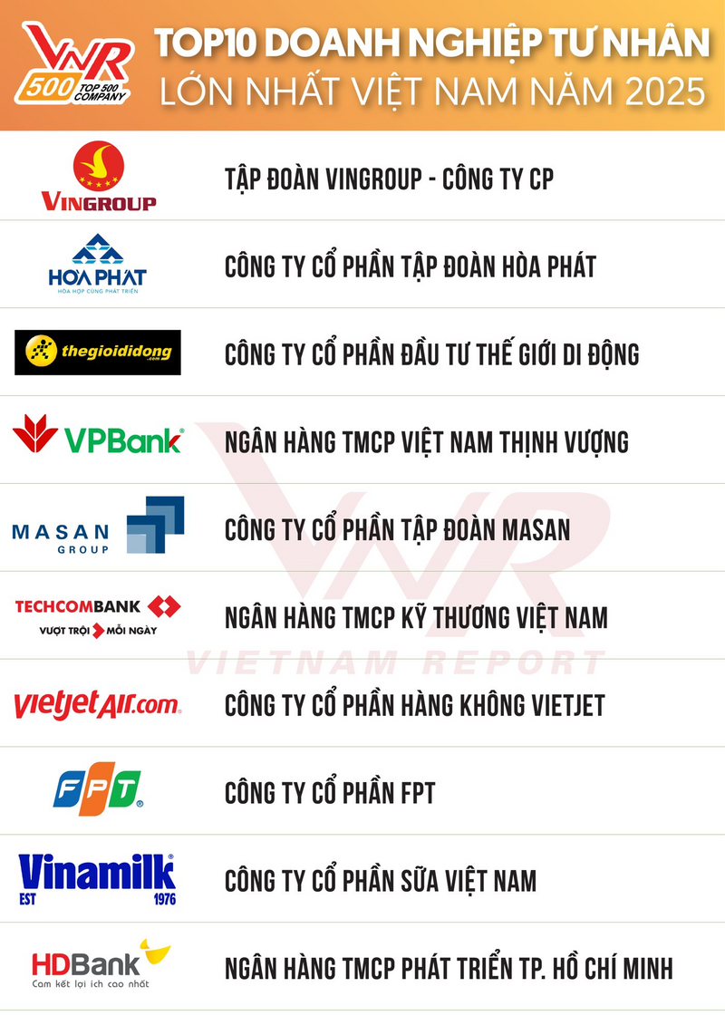 Hòa Phát là doanh nghiệp công nghiệp duy nhất lọt Top 10 Doanh nghiệp lớn nhất Việt Nam - 3