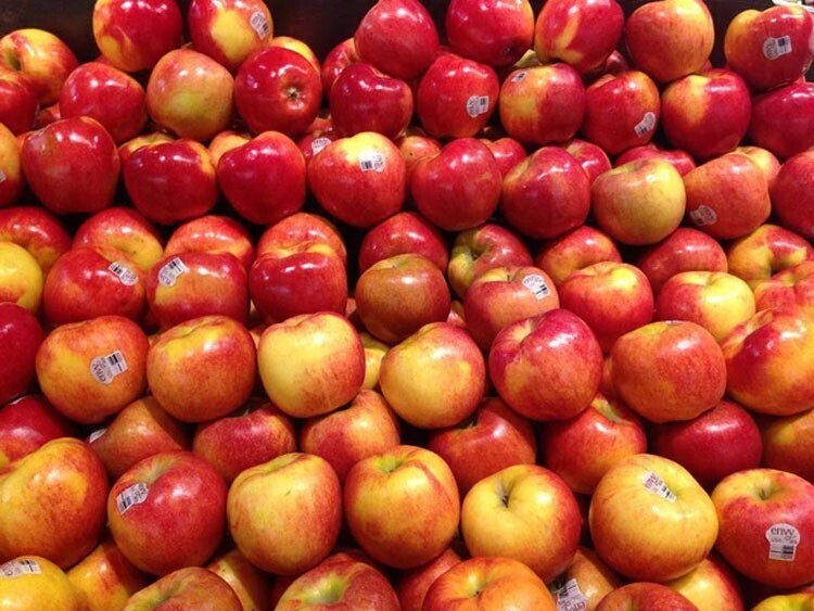 Mỹ là thị trường cung cấp rau quả lớn thứ 2 cho Việt Nam, với kim ngạch 460 triệu USD sau 10 tháng năm 2025. Ảnh minh họa