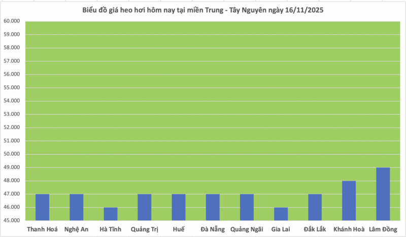 តម្លៃជ្រូកថ្ងៃនេះ ថ្ងៃទី 16 ខែវិច្ឆិកា ឆ្នាំ 2025៖ នៅទ្រឹងជាបណ្តោះអាសន្ននៅចុងសប្តាហ៍ - 2