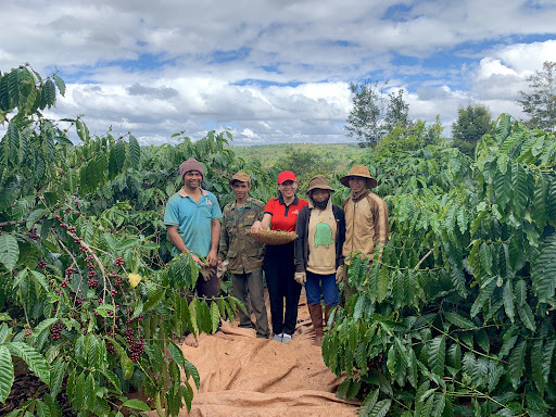 Mô hình liên kết cà phê của Simexco hoàn toàn có thể trở thành nền tảng tham chiếu cho các sản phẩm vùng dân tộc (Ảnh: Simexco Đắk Lắk)