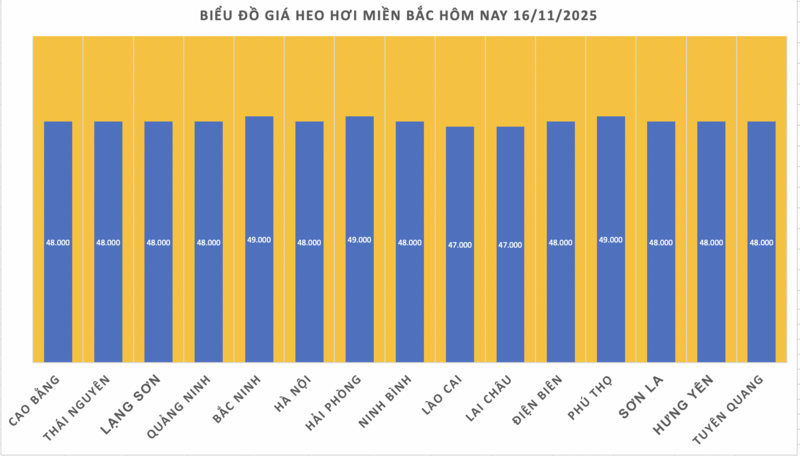 តម្លៃជ្រូកថ្ងៃនេះ ថ្ងៃទី 16 ខែវិច្ឆិកា ឆ្នាំ 2025៖ នៅទ្រឹងជាបណ្តោះអាសន្ននៅចុងសប្តាហ៍ - 1