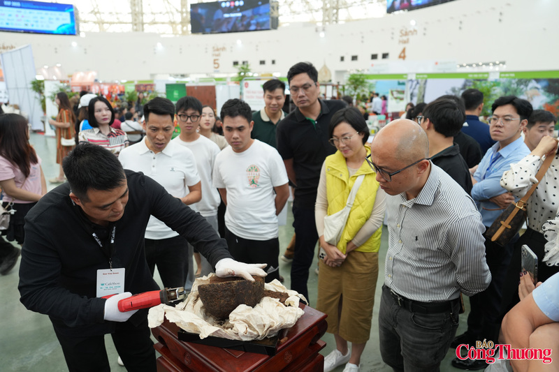 Điều làm nên giá trị của Thạch Cổ Trà chính là phương pháp chế biến. Theo Thạc sỹ Nguyễn Đăng Bền, kỹ thuật chế biến loại trà nén tinh hoa này đã bị thất truyền hoàn toàn tại Trung Quốc đại lục từ thế kỷ 14.