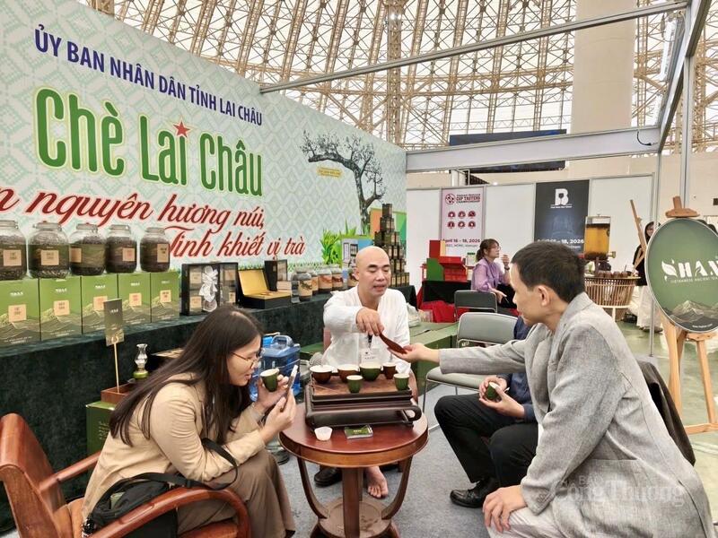 HTX Chè Sì Lở Lầu là đơn vị tiên phong trong định vị thương hiệu trà shan tuyết cổ thụ tỉnh Lai Châu.