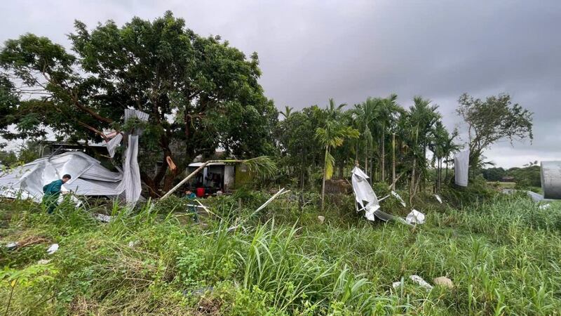 Những tấm tôn bị gió cuốn nằm vắt vẻo trên ngọn cây.