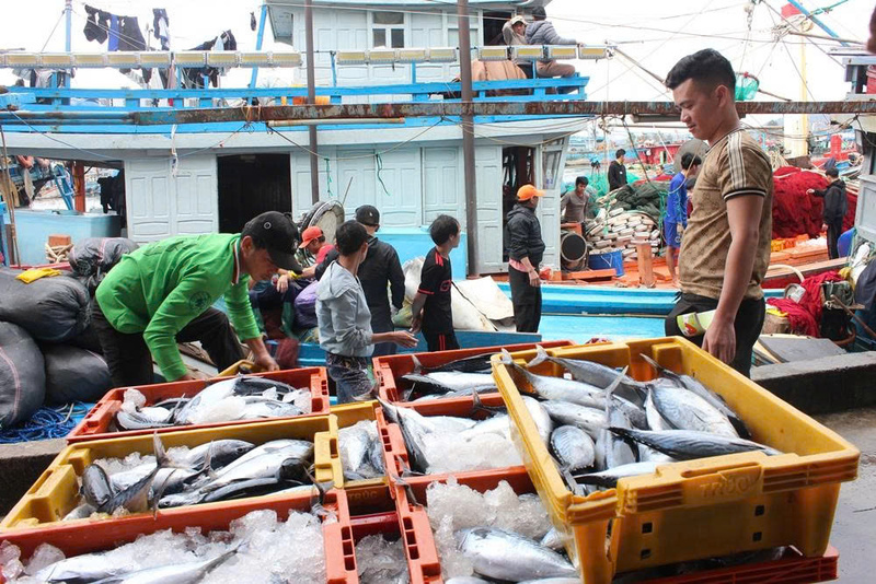 Đã có hơn 2.000 ngư dân ký cam kết không vi phạm IUU.