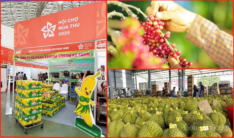 Những sản phẩm nông sản xuất khẩu thế mạnh của Đắk Lắk.