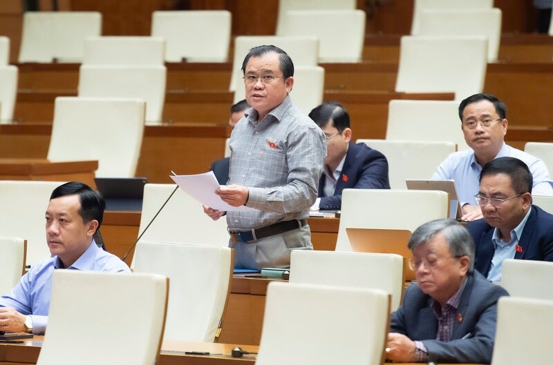 Đại biểu Nguyễn Tâm Hùng - đoàn TP. Hồ Chí Minh.