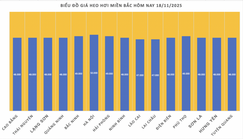 Giá heo hơi hôm nay 18/11/2025: Biến động trái chiều - 1
