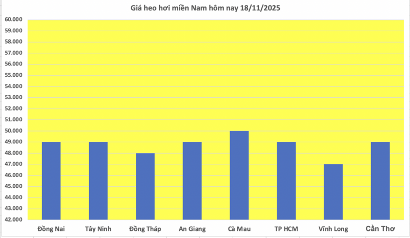 Giá heo hơi hôm nay 18/11/2025: Biến động trái chiều - 3