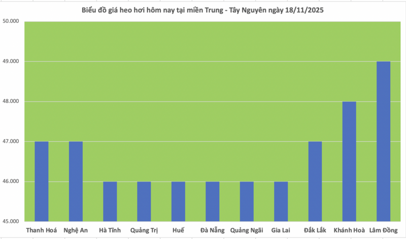 Giá heo hơi hôm nay 18/11/2025: Biến động trái chiều - 2