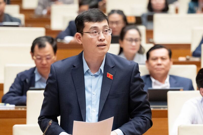 Đại biểu Đỗ Đức Hiển - đoàn TP Hồ Chí Minh. Ảnh: QH