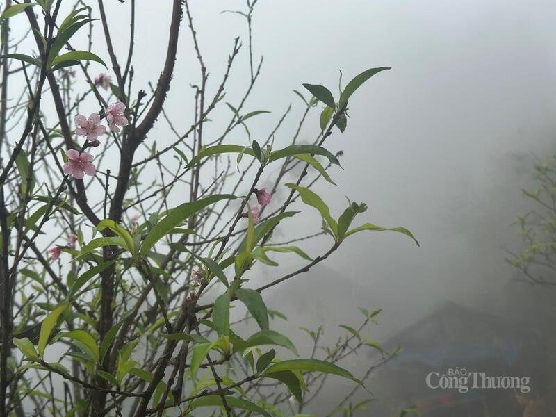 Cảnh đẹp Dào San như một bức tranh chốn bồng lai.