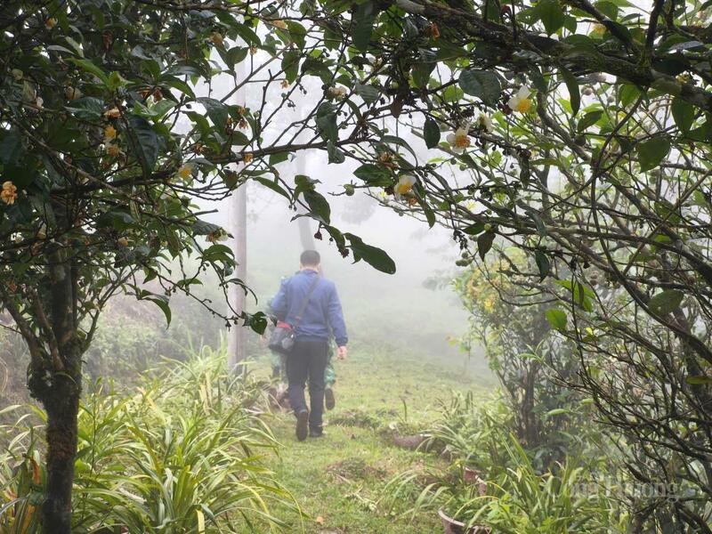 Đến với Dào San để cảm nhận nét đẹp cảnh quan, văn hóa độc đáo nơi đây.