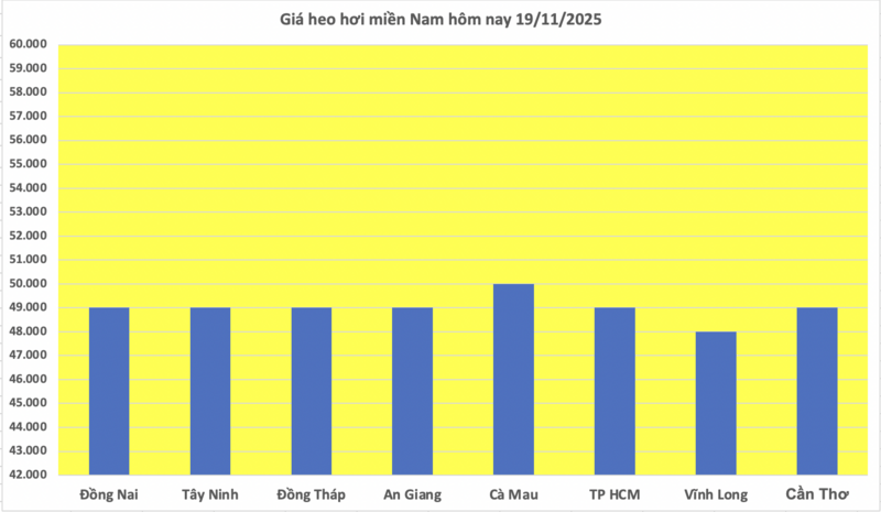 Giá heo hơi hôm nay 19/11/2025: Đồng loạt tăng - 3