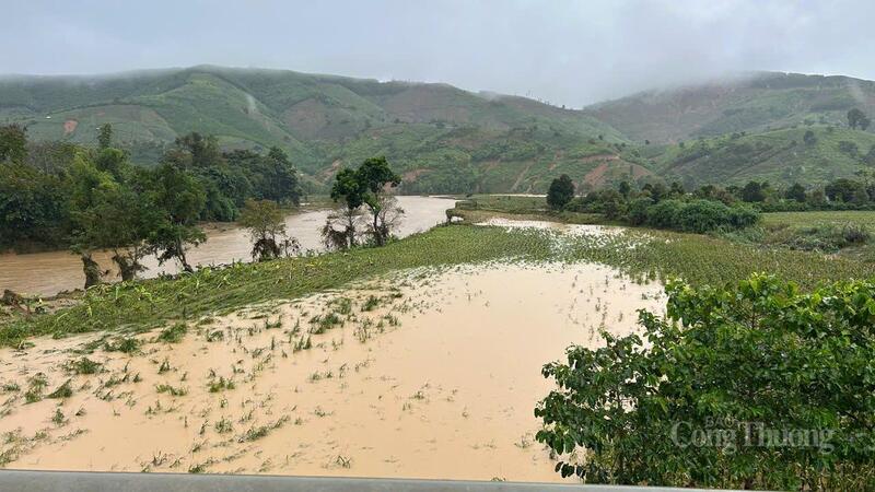 Hoa màu ven sông bị lũ cuốn làm thiệt hại ở xã Yang Mao