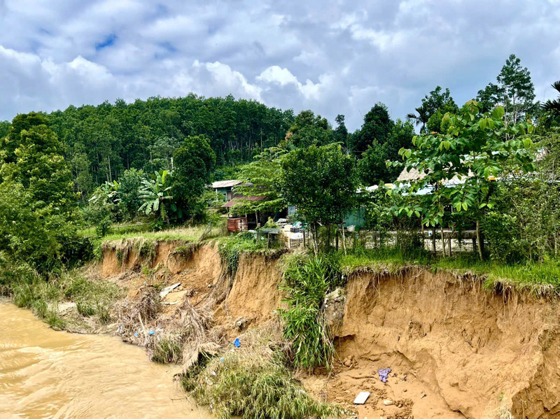 Dọc bờ sông Trường đoạn chảy qua xã Phước Hiệp đang bị ăn mòn sâu vào bờ. Ảnh Nguyễn Dương