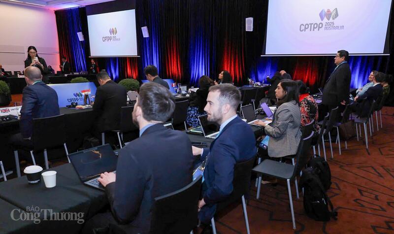 У діалозі CPTPP та АСЕАН з питань торгівлі та інвестицій взяли участь міністри економіки АСЕАН та представники країн-членів CPTPP. Фото: Нгуєн Мінь