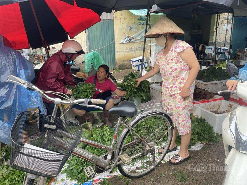 Giá rau tăng cao, người dân dè dặt khi chọn mua rau.