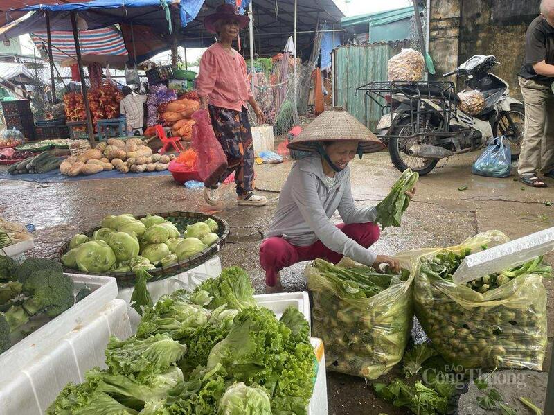 Các loại rau cải tăng giá gấp đôi nhất là cải dùng muối dưa.