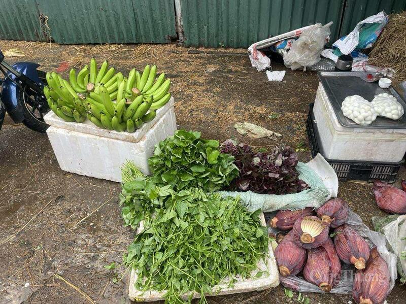 Nguồn cung ít khiến gia rau bị đẩy cao.