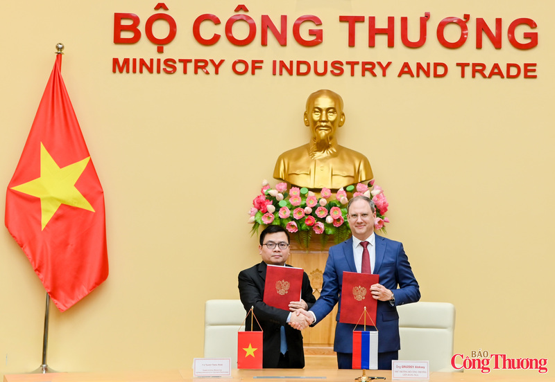 Các nội dung hợp tác gồm các ngành công nghiệp ô tô, hoá chất, dược phẩm, luyện kim, công nghiệp nguồn năng lượng mới, kỹ thuật nặng và vật liệu xây dựng. Trong quá trình hợp tác, hai bên sẽ nỗ lực đạt được các mục tiêu đề ra trong Kế hoạch tổng thể hợp tác Nga - Việt đến năm 2030.