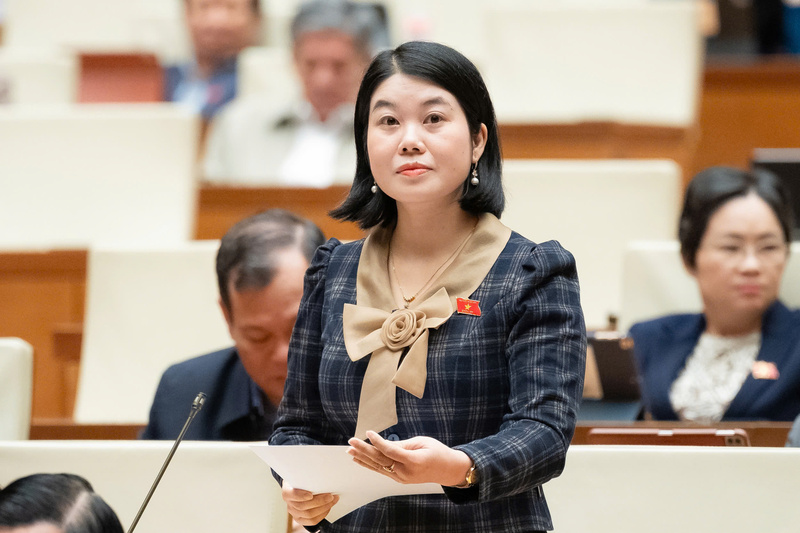 Đại biểu Nguyễn Thị Huế - đoàn Thái Nguyên