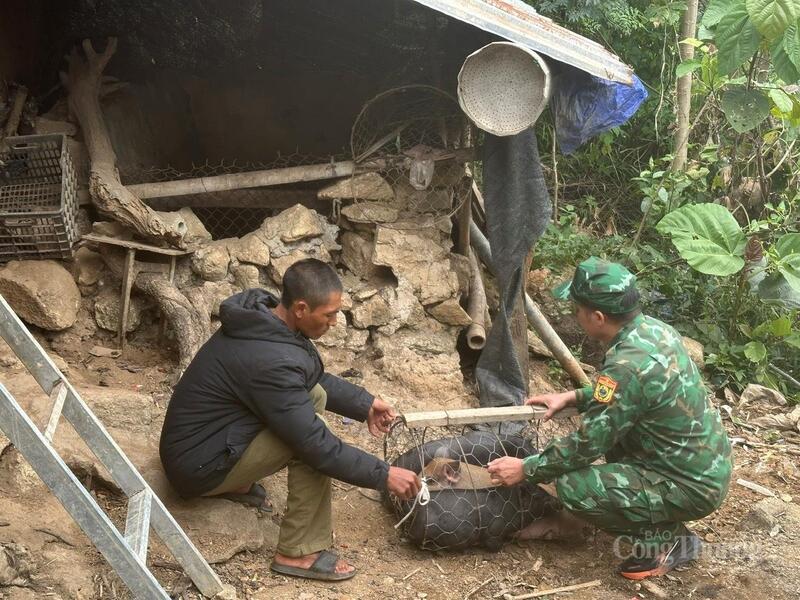 Đồn Biên phòng Sì Lờ Lầu tặng lợn giống giúp gia đình anh Phu Mờ Đô thêm cơ hội phát triển kinh tế.