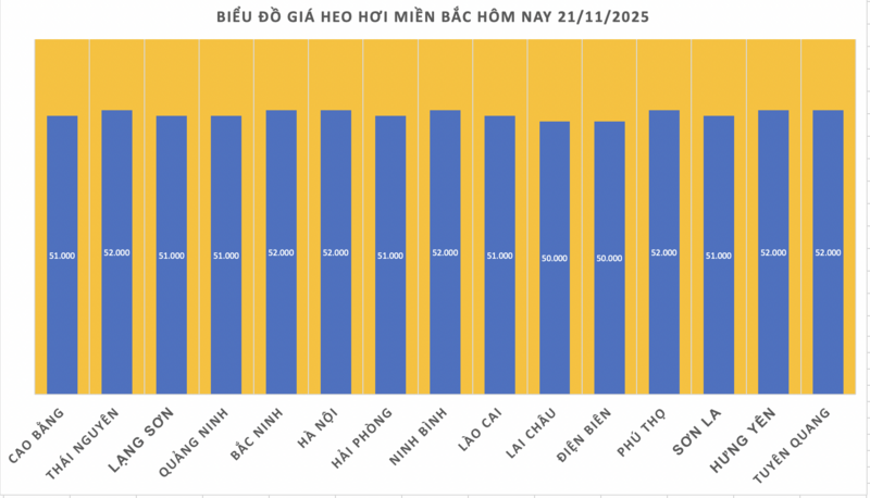 Giá heo hơi hôm nay 21/11/2025: Tăng mạnh, miền Bắc lập đỉnh - 1