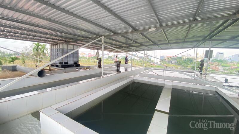 A Hai Phong-i vállalatok biztonságosan használják a vegyszereket a termelésben